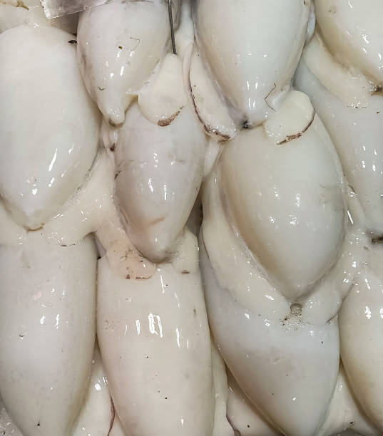 istock Fresh Raw Squid on Ice at Seafood Market Display 2243447963