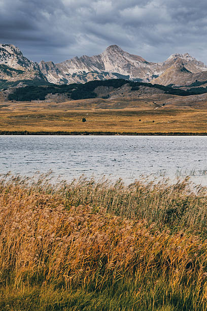 istock Wild landscape view featuring a mountain range under a cloudy sky, a tranquil lake, and dry reeds in foreground 2243449096