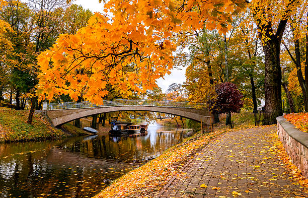 istock Golden autumn in old public park 2243450715