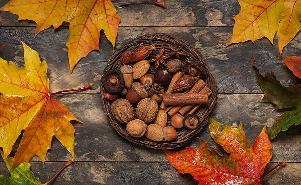 A beautiful assortment of nuts and spices arranged in a basket surrounded by vibrant autumn leaves, capturing the essence of the fall season and inviting warmth and nostalgia.