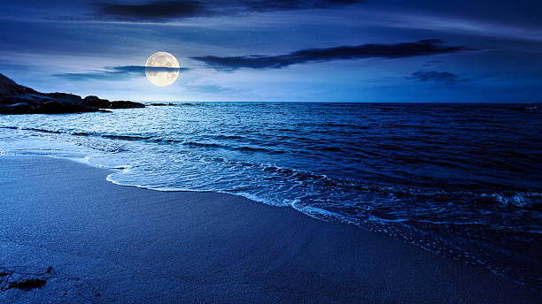 istock panoramic view of sand beach landscape at night 2243458236