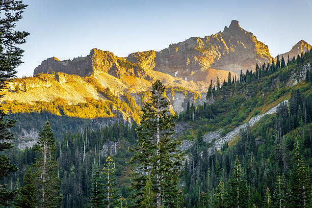A scenic mountain range view at sunset is captured from the Bench and Snow Lake trail in Mount Rainier National Park, Washington.