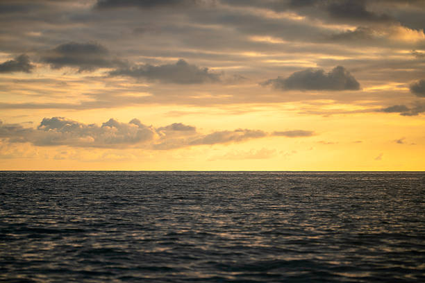 A tranquil seascape at twilight features a golden sunset over a calm ocean, reflecting warm light on gentle waves. Soft clouds drift across the sky, creating a peaceful, natural scene.