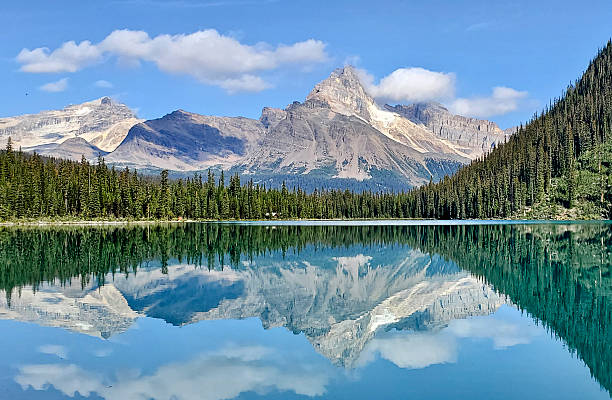 istock Morning Reflections at Lake O’Hara 2243463102