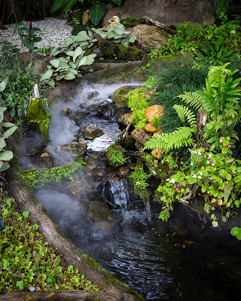 istock Fog on a magical river stream water with green plants 2243464306