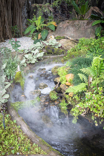 istock Fog on a magical river stream water with green plants 2243464311