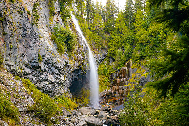 istock View of Narada Falls Along Green Forest at Mount Rainier 2243464805