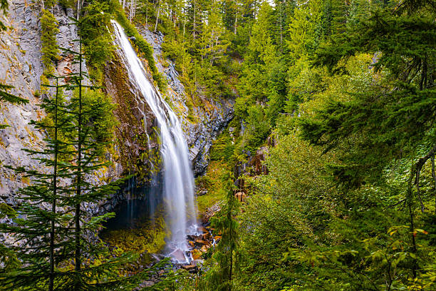 istock View of Narada Falls Along Green Forest at Mount Rainier 2243464812