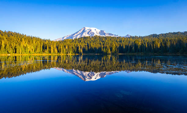 istock Alpenglow Sunrise Reflection on Mount Rainier in Still Lake 2243465471
