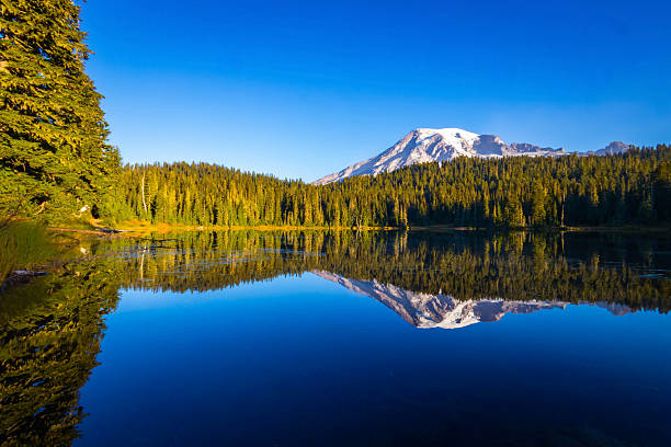 istock Alpenglow Sunrise Reflection on Mount Rainier in Still Lake 2243465472