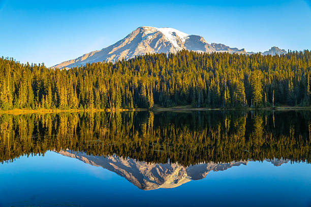 istock Alpenglow Sunrise Reflection on Mount Rainier in Still Lake 2243465988