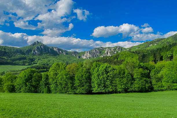istock Sulov Rocks landscape in Slovakia with steep cliffs, stone formations, and forest vegetation united in natural harmony 2243466032
