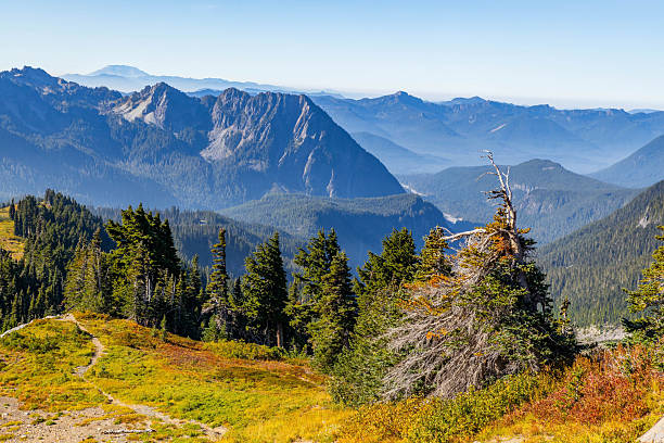 istock Dramatic Southern Vista: Mount Adams and Mazama Ridge from Skyline Trail 2243467342