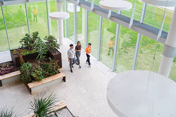 istock Three business colleagues walking through a contemporary office building, talking and carrying documents 2243478888