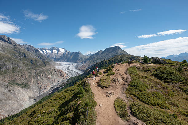 Riederalp Switzerland - August 5. 2025: View towards the Aletsch glacier