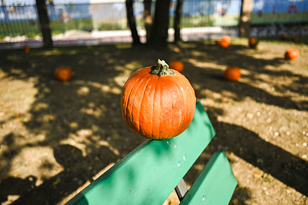 Orange pumpkin sitting on a green park bench with other pumpkins scattered in the background