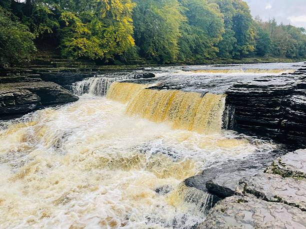 Active senior woman hiker relaxing and admiring the view of Aysgarth Falls waterfall in the Yorkshire Dales National Park, England.