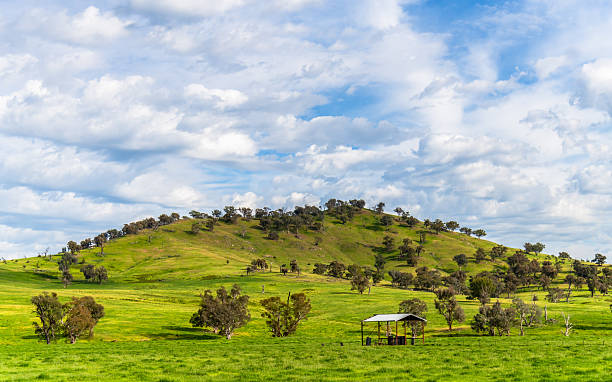 istock Riverina Countryside in Spring  Green Hills Under Clouded Skies 2243489443