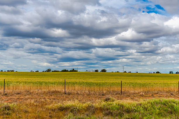 istock Clouds over the crop field in the Riverina countryside 2243489569