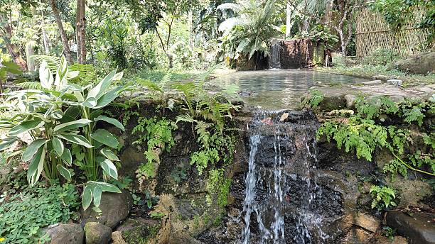 istock Tropical Garden Waterfall with Lush Greenery – Natural Background for Spa and Wellness Concepts 2243491521