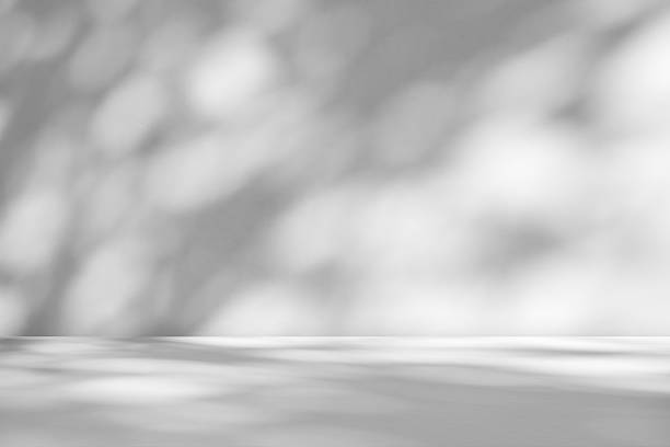 istock Abstract white studio room with light and shadow from window and tree leaves background for product display presentation 2243493278