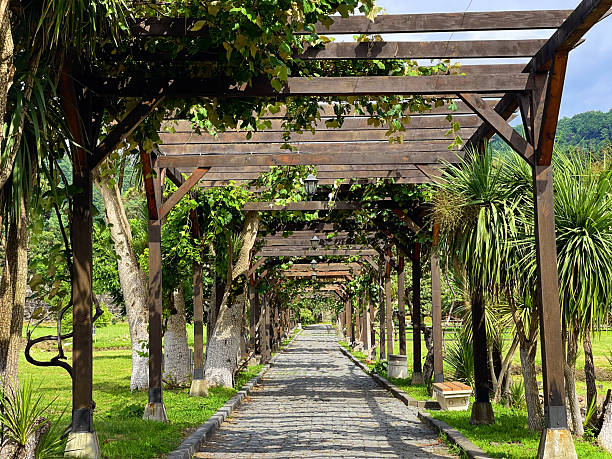 3d rendering of nature garden with empty background.
