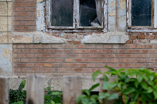 istock Old brick house with cat sitting in window 2243494131