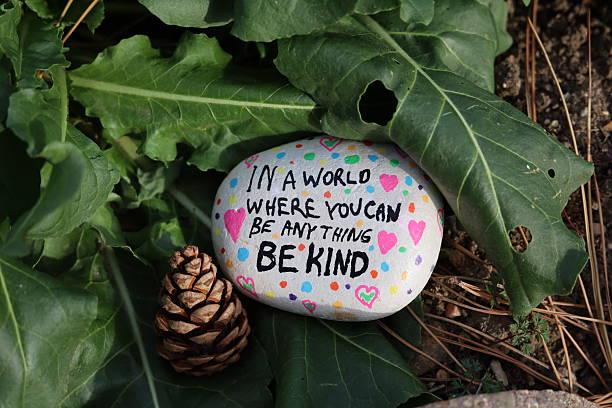 istock Be kind kindness rock on forest leaves with pinecone 2243504245