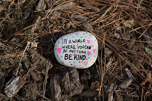 istock Be kind kindness rock on natural forest floor 2243504251