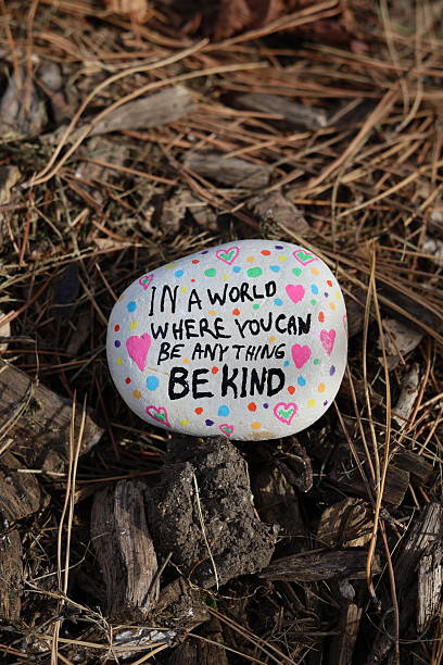 istock Be kind kindness rock on natural forest floor vertical photo 2243504372