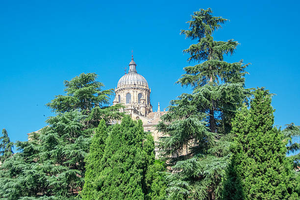 Exterior low angle view of the majestic Salamanca Cathedral captured from Enrique Estevez Bridge, showcasing majestic dome