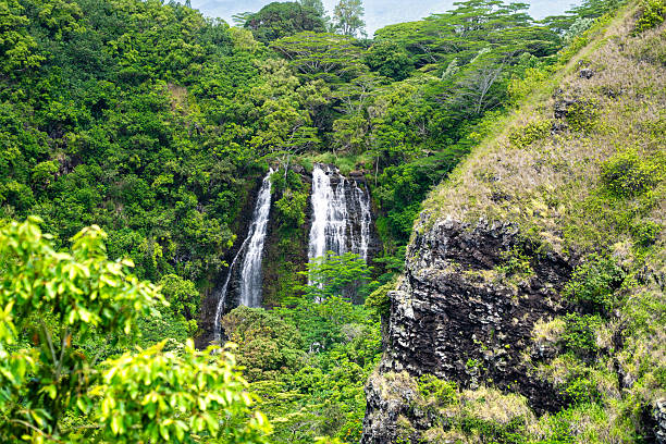 Majestic twin Wailua waterfalls on Kauai, Hawaii