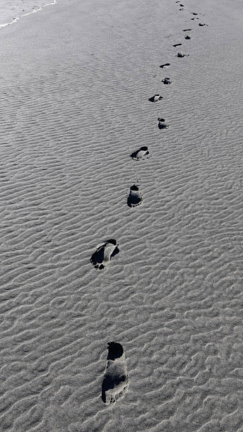 istock Human footprints have been left in the wet sand on the beach. 2243518017
