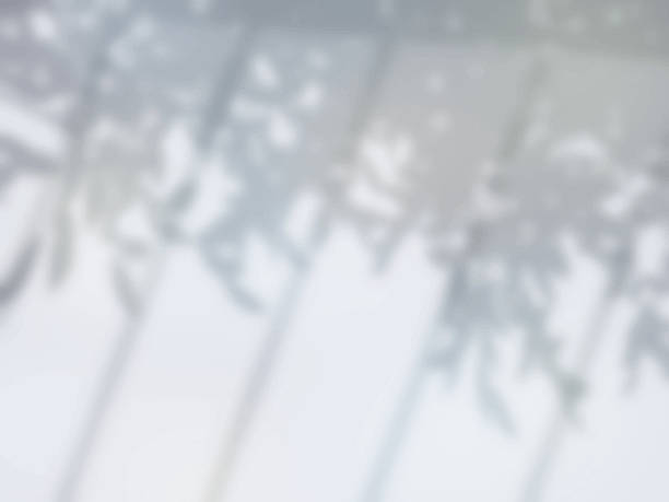istock The background where the fence and tree shadows are cast on the ground 2243537750