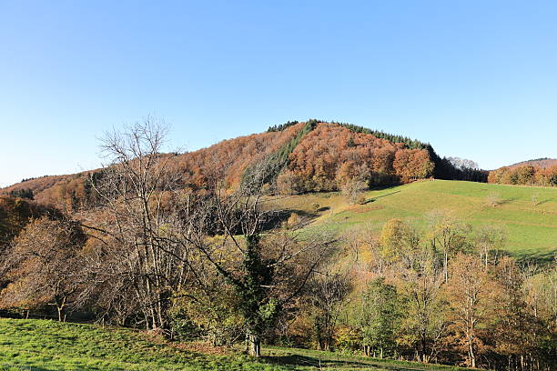 istock Sunny autumn day in Steinen in the Black Forest 2243541657