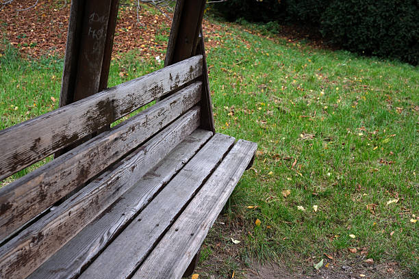 A weathered wooden bench sits quietly in a serene park, inviting relaxation.