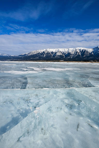 istock Bubble in Lake Abraham in the Alberta region Vertical view , Canada 2243549861
