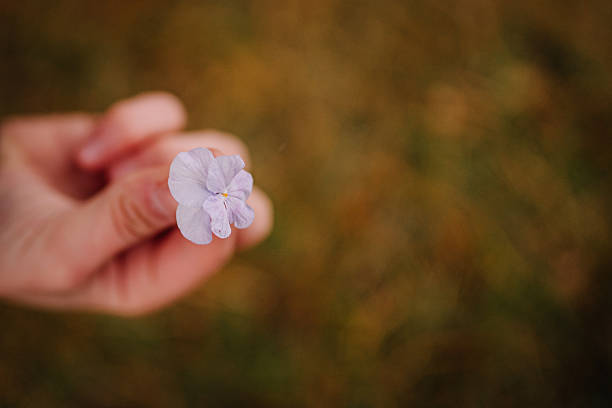 Hand gently holds a light purple flower, set against a softly blurred background of natural colors, emphasizing the beauty of nature and human interaction