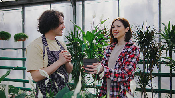 istock Two people smile while discussing indoor plants inside a bright greenhouse during a sunny day 2243554477