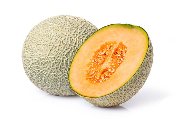 cantaloupe melon isolated