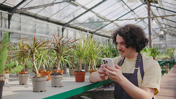 istock Young man checking smartphone in greenhouse surrounded by various potted plants during bright daylight hours 2243555219