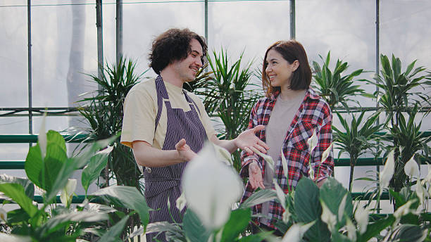 istock Two people engage in a friendly conversation about plants inside a greenhouse during a sunny day 2243555379