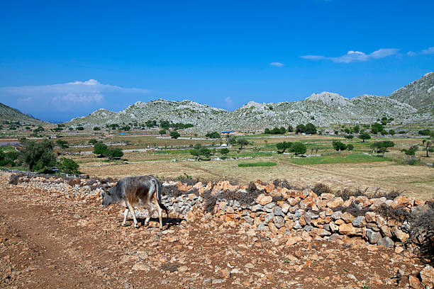 Aegean countryside in Marmaris, Turkey