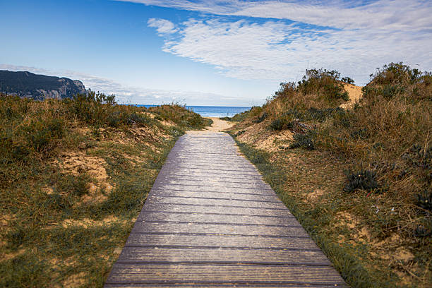 istock Wooden path to the sea 2243556477