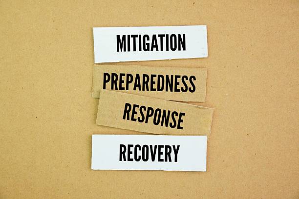 istock What are the 4 phases of response? 2243558620