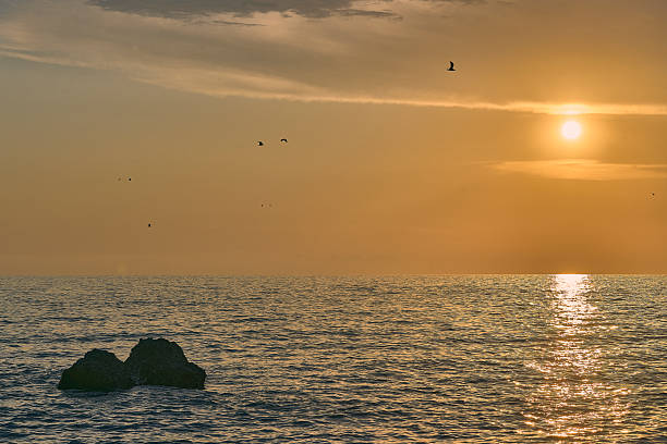 Serene sunset over the ocean with birds flying and a rock in the foreground, casting a warm golden glow.
