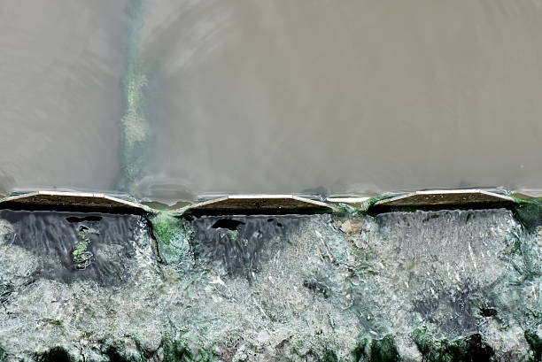 High-angle close-up of cleaner effluent flowing over a series of weir troughs from a sedimentation tank. The lower area shows water moving over a grunge surface with green algae buildup. Focus on purification.