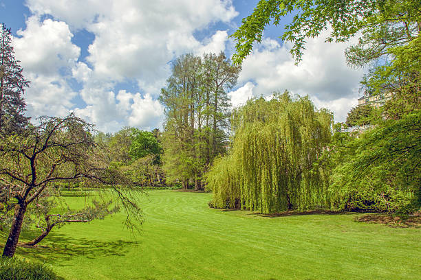 istock Guided (teacher) excursion for teenagers (schoolchildren) in May in Pays de la Loire 2243568724