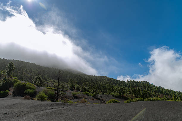 istock Lava field pine forest cloudy sky landscape 2243571266