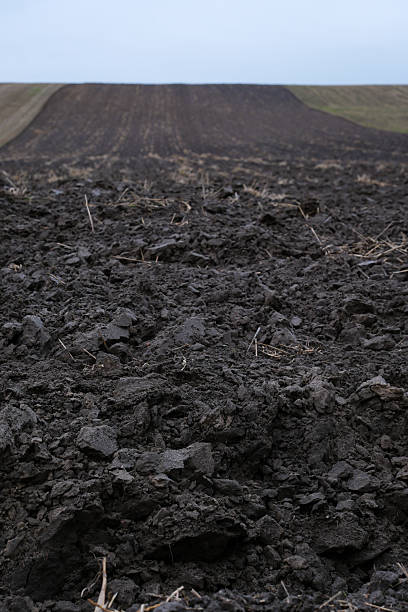 istock Freshly plowed agricultural field in autumn. 2243573933